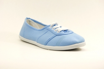���� ������� TRIEN wj13-010 �������