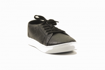 ���� ������� TRIEN LG 2017-119 ������