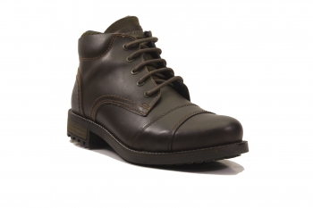 ������� ������� Ascot Chester