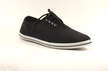 ���� ������� TRIEN WJ-006 ������